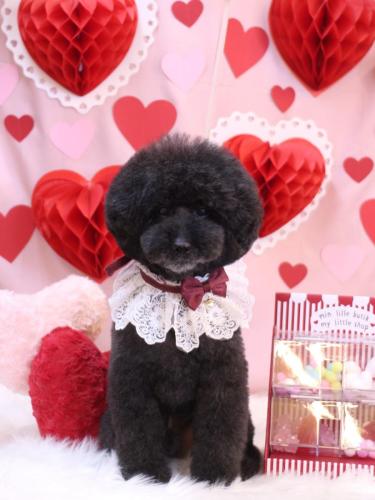 20240210ラブくん